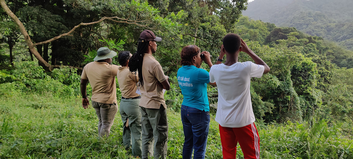 Parrot watch – August 26, 2021